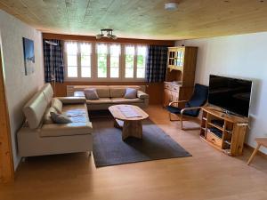 ein Wohnzimmer mit einem Sofa und einem TV in der Unterkunft Chalet Herrschaft in Grindelwald