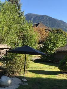 a black umbrella sitting in the middle of a yard at Tor zum Kandertal beim Niesen/Mülenen in Mülenen 