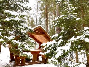 domek na drzewie w śniegu w lesie w obiekcie Świętokrzyskie Zacisze w mieście Wołów