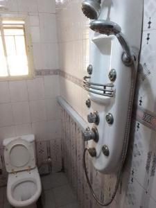 a bathroom with a toilet and a shower at MARVELLOUS hotel in Lagos
