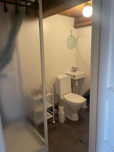 een badkamer met een toilet en een wastafel bij Nyrenoverad stuga nära naturen in Linköping
