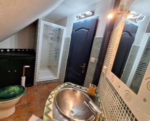 a bathroom with a sink and a toilet at Les Combles de Bagnères in Bagnères-de-Bigorre