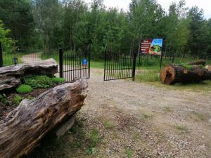 una recinzione con tronchi e un cancello con un albero di Agroturystyka Klimaty Poleskiego Parku a Cyców Altre 49 foto