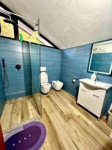ein Bad mit einem WC, einem Waschbecken und einer Dusche in der Unterkunft Bar Restorant Geshtenja 