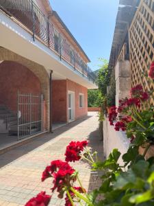 a courtyard with red flowers next to a building at Il Cortile in Domus de Maria