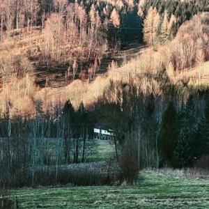 un campo con árboles y una colina con un tren en Markowy Dom en Jugowice