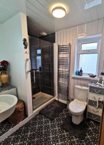 uma casa de banho com um chuveiro, um WC e um lavatório. em The Annex em Cemaes Bay