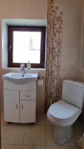 a bathroom with a toilet and a sink and a window at Mountain House in Ustrzyki Dolne