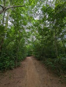 Paesaggio naturale nelle vicinanze dell'affittacamere