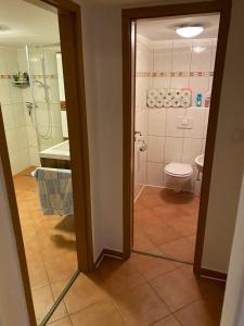 a bathroom with a toilet and a shower and a sink at Chata Boží Dar 63 in Boží Dar