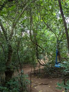 Paesaggio naturale nelle vicinanze dell'affittacamere