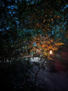 Paesaggio naturale nelle vicinanze dell'affittacamere