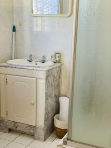 a bathroom with a sink and a shower at The M-Pire Cottage in Bloemfontein