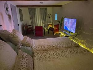 1 dormitorio con 1 cama y TV en una habitación en Escape Private SPA II, en Bad Zurzach