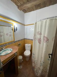 a bathroom with a toilet and a shower curtain at Casas rurales los castaños in Jerez del Marquesado