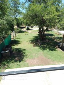 a park with a tree in the grass at Nancy's Residencias in Santa Rosa de Calamuchita