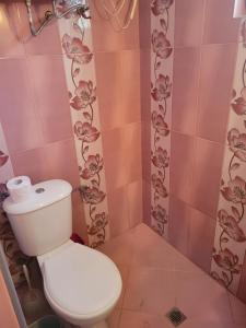 a bathroom with a toilet and pink tiles at Вила Рени in Varna City