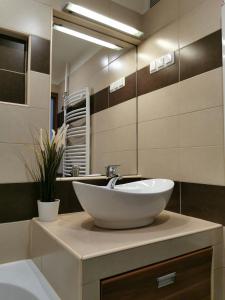 a bathroom with a sink and a large mirror at Római 1 in Dunaújváros