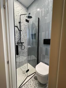 y baño con aseo y ducha acristalada. en Piazza del Popolo Luxury Apartament, en Roma