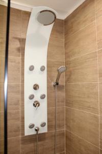 a shower with a shower head in a bathroom at FeWo Catalina in Westerstede