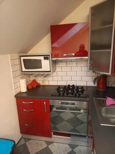 a small kitchen with a stove and a microwave at Apartament Pod Bukami in Łaziska Górne