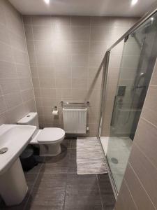 a bathroom with a shower and a toilet and a sink at Moorgreen 