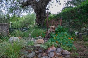 Un jardín fuera de El Viejo Algarrobo - Hosteria Serrana