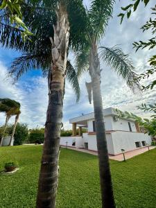 twee palmbomen voor een huis bij Villa Capri Holiday Home in Campofelice di Roccella