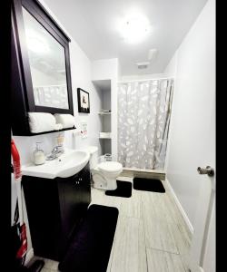 a bathroom with a sink and a toilet and a mirror at Staycation Apartment, Free Parking ,kitchen & washroom ensuite in London