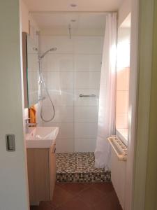ein Bad mit einer Dusche und einem Waschbecken in der Unterkunft Ferienwohnung Erlkron in Schiedenhohlweg