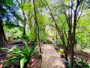 een pad midden in een bos met bomen bij Green House Resort in Sigiriya