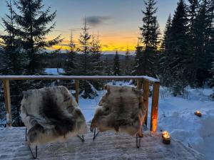 Loodusmaastik puhkemaja lähedal