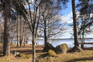 a group of trees and rocks next to a body of water at Viehättävä yksiö merellisessä Kotkassa. in Kotka