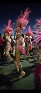 聖安妮的住宿－Country Lodge La Pléiade，一群穿着粉红色服装的人走在街上