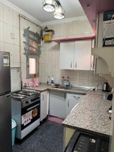 a small kitchen with a stove and a sink at عباس العقاد مدينه نصر in Cairo