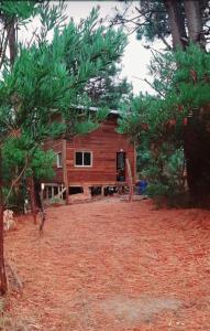 une cabane en rondins au milieu d'une forêt dans l'établissement Falsas Escuadras, à Rincón de los Oliveras