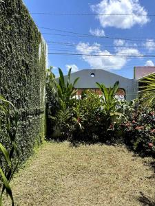 um jardim com plantas ao lado de uma parede de pedra em Casa Maya em Palenque