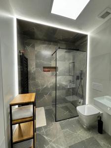 a bathroom with a shower and a toilet and a sink at Apartmánové ubytovanie POD DUBOM in Poľný Kesov
