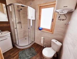 y baño pequeño con aseo y ducha. en Sielanka u Basi en Toporzysko
