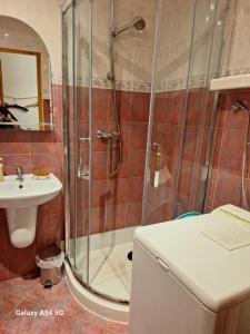 un bagno con doccia, WC e lavandino di Bugenwilla Apartament a Sopot Altre 25 foto