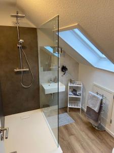 a bathroom with a shower and a sink and a skylight at Hotel am See in Kreuzau