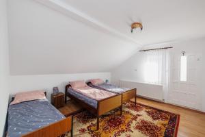 um quarto com 2 camas e um tapete em Cabana Rus-Beliș em Dealu Negru