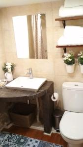 ein Badezimmer mit einem Waschbecken, einem Spiegel und einem WC in der Unterkunft Loft 1a linea puerto deportivo in Bermeo