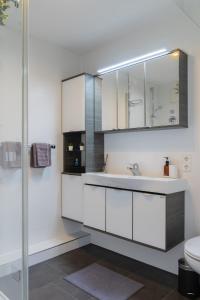 DornstettenにあるCloudCabins Dornstetten - Brunnenbergの洗面台とトイレを備えた白いバスルーム +18枚の写真