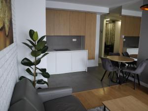 a living room with a couch and a table at Apartament Nowy Sącz in Nowy Sącz +7 photos