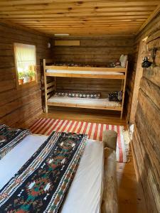 a sauna with two beds in a wooden cabin at Pine Tree Cabin in Glommersträsk