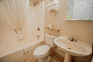 Un baño blanco con inodoro y lavabo. en Sportsman's Inn Plymouth 252-793-3095, en Plymouth 39 fotos más