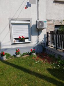 a house with a window with flowers and a fan at Wandorf in Sopron