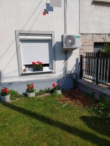 Vonkajšia záhrada v ubytovaní Wandorf