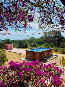 Villa Turquoise Formentera في سانت فيران دي سيس روكيه: منزل به مسبح في ميدان الزهور